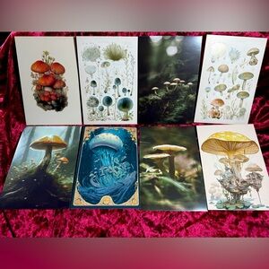 Mushroom Fungi Art Cards 🍄 High Quality Fungus Art Prints Set of 8